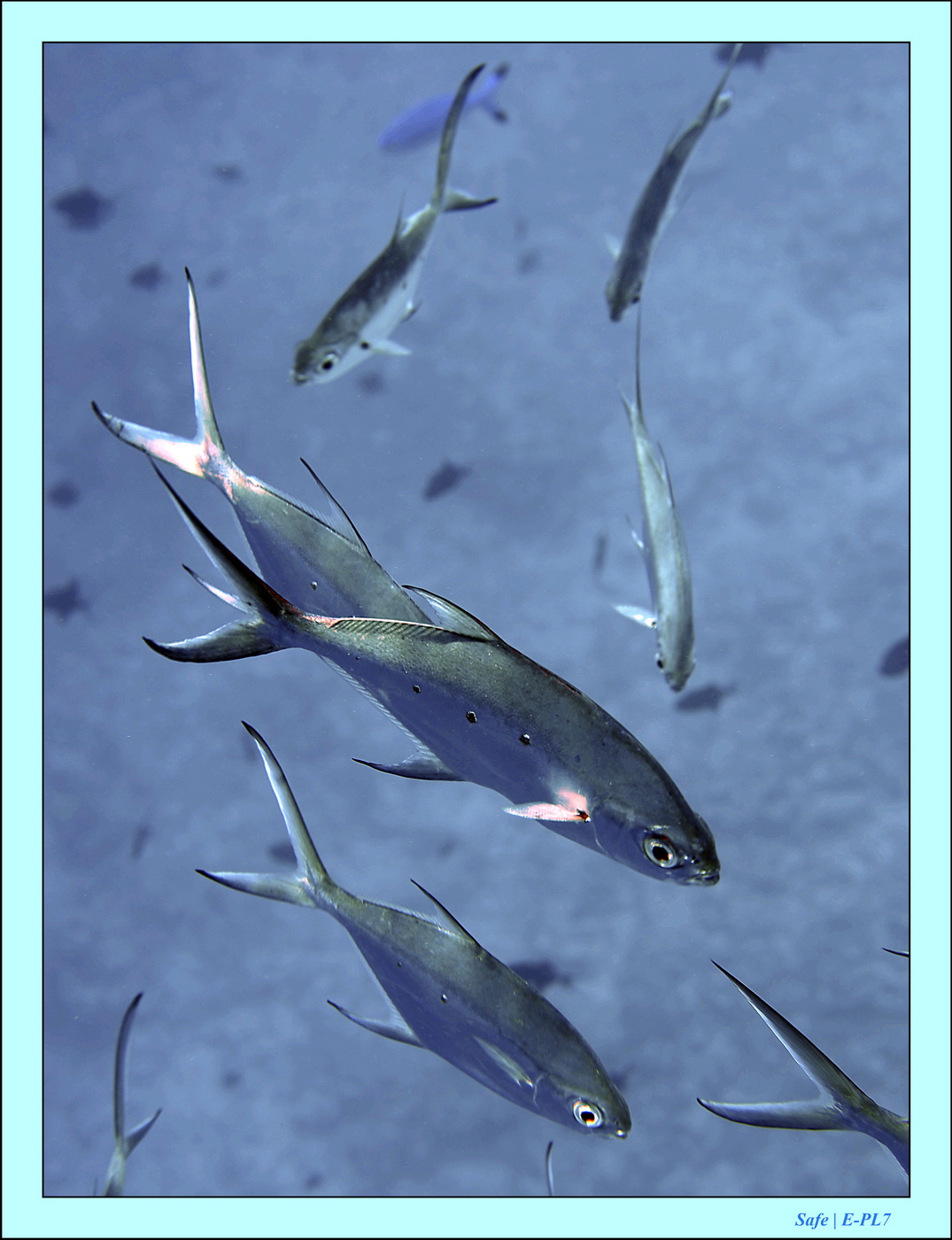 2023 - 07 - Sandies Bathala - 205